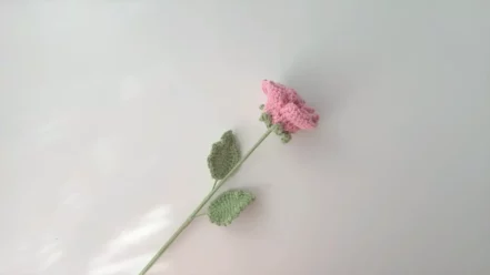 卡布奇诺玫瑰钩针图解|hookok