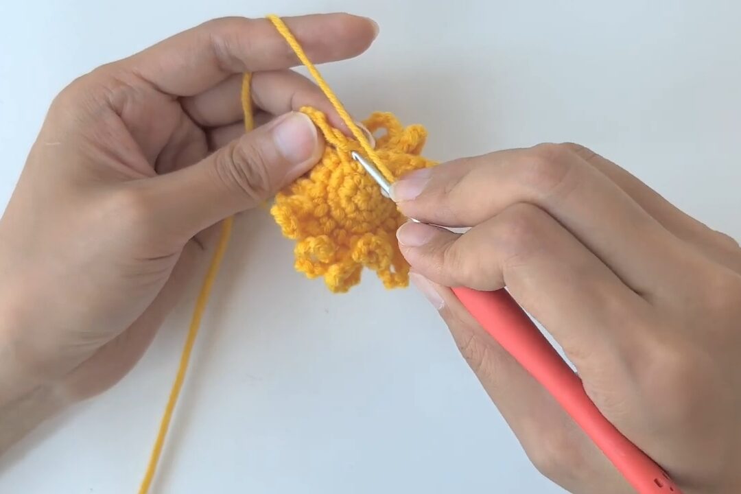 睡莲钩针图解|hookok