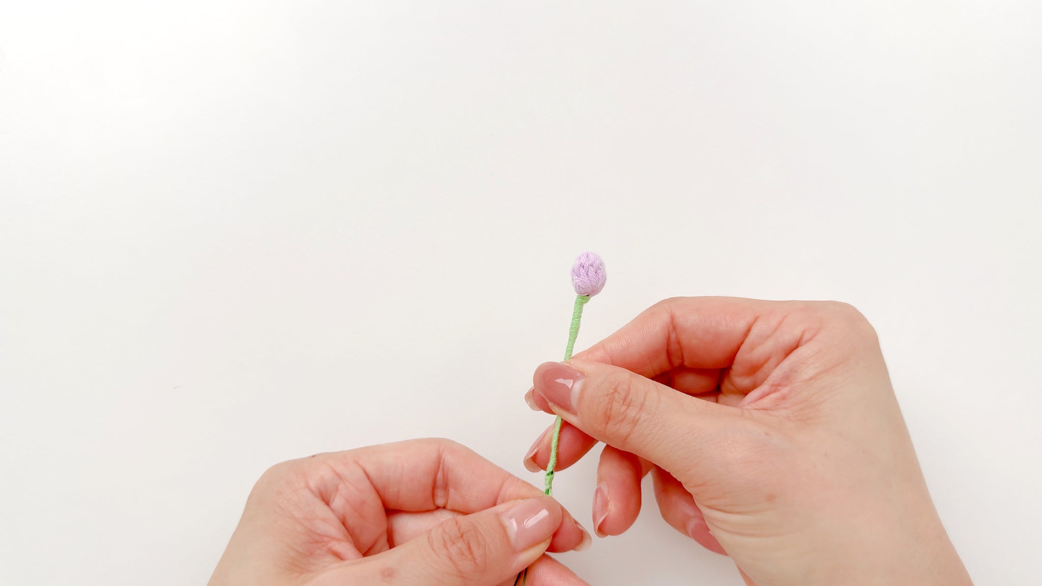 小花苞提示