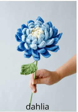 大丽花钩针编织图解教程